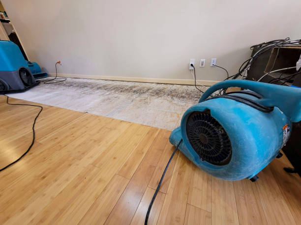 Professional Sewage Cleanup technician working in Seaview, WA